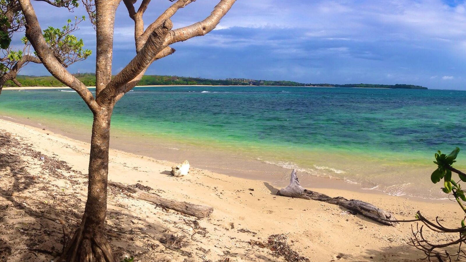 Nadi