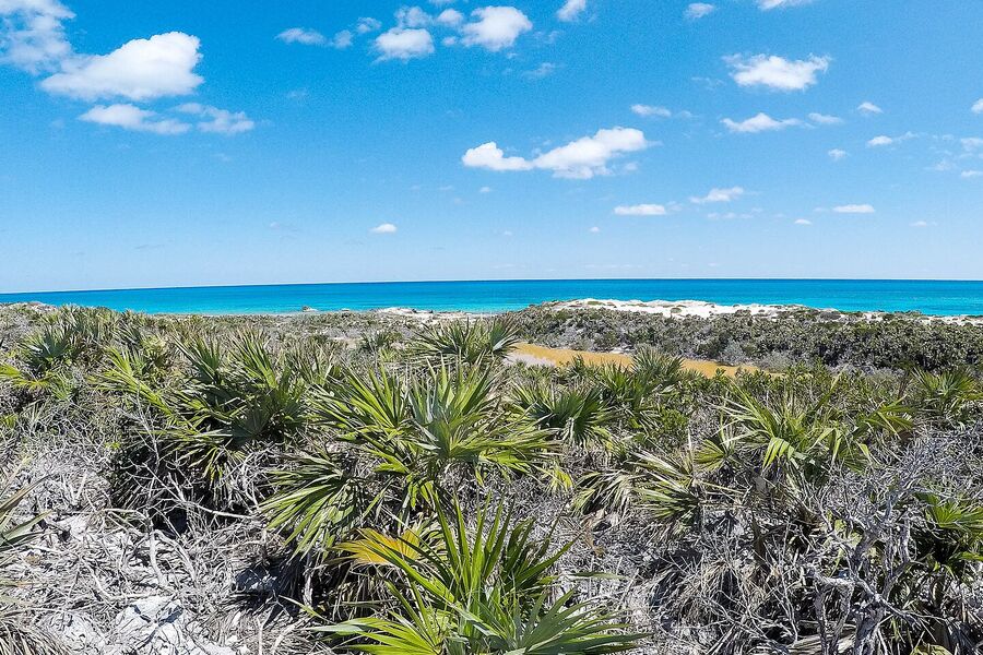 Exuma Cays Land and Sea Park