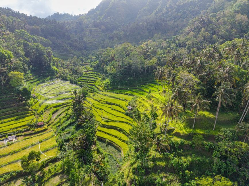 Moving to Bali in 2026: The Honest Decision Guide